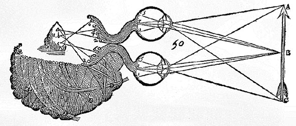 Descartes: Pineal Eye